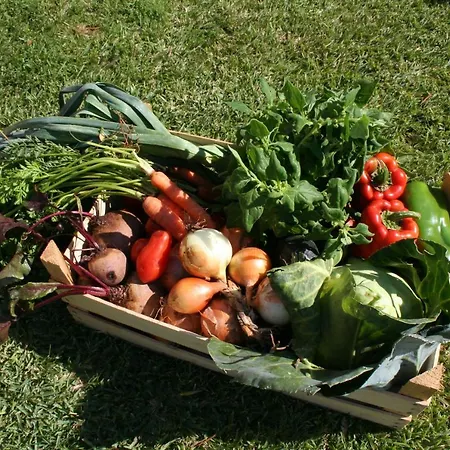 Encosta Da Camarinha *