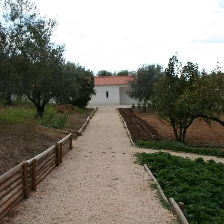 Holiday home Encosta Da Camarinha Ferreira do Zezere