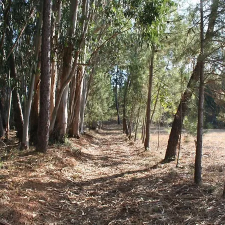 Encosta Da Camarinha