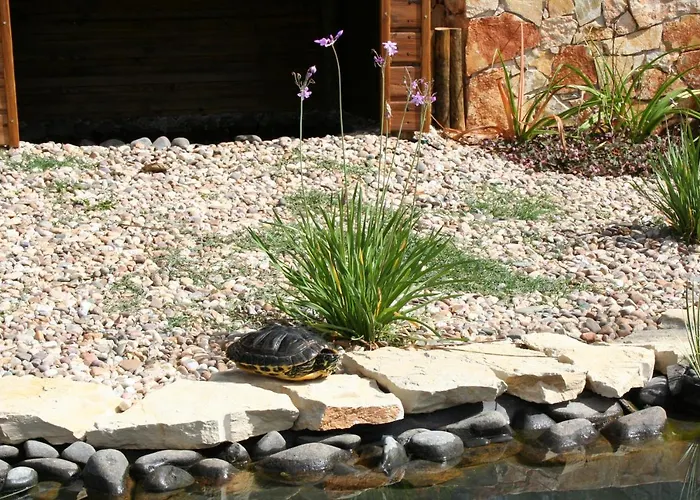 Encosta Da Camarinha Ferreira do Zêzere