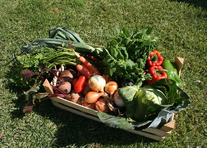 Encosta Da Camarinha *