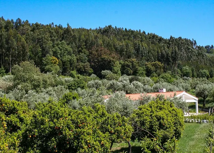 Hébergement de vacances Encosta Da Camarinha *