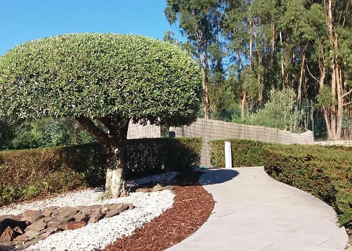 Encosta Da Camarinha * Ferreira do Zêzere