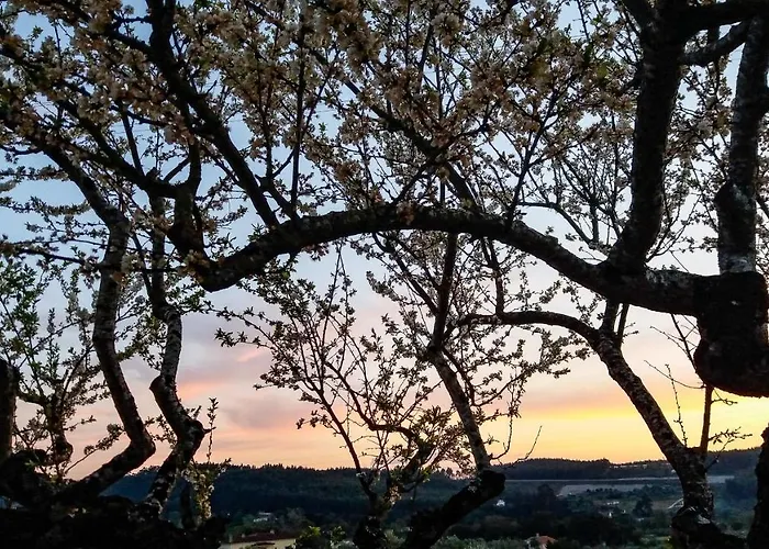 Casa de Férias Encosta Da Camarinha