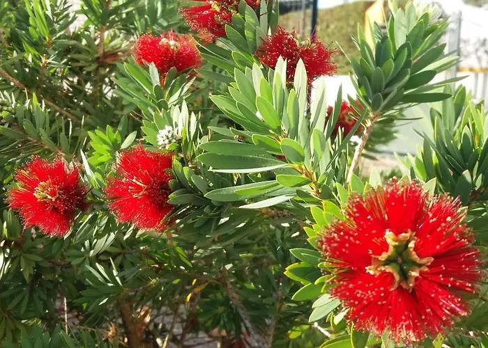 Encosta Da Camarinha Ferreira do Zêzere