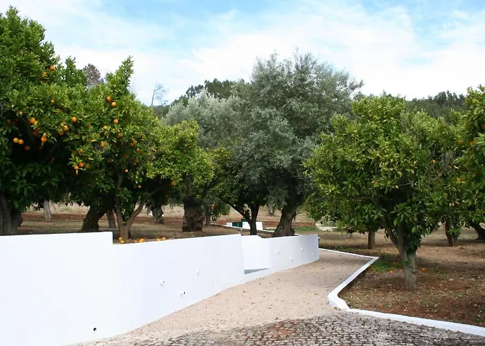 Encosta Da Camarinha