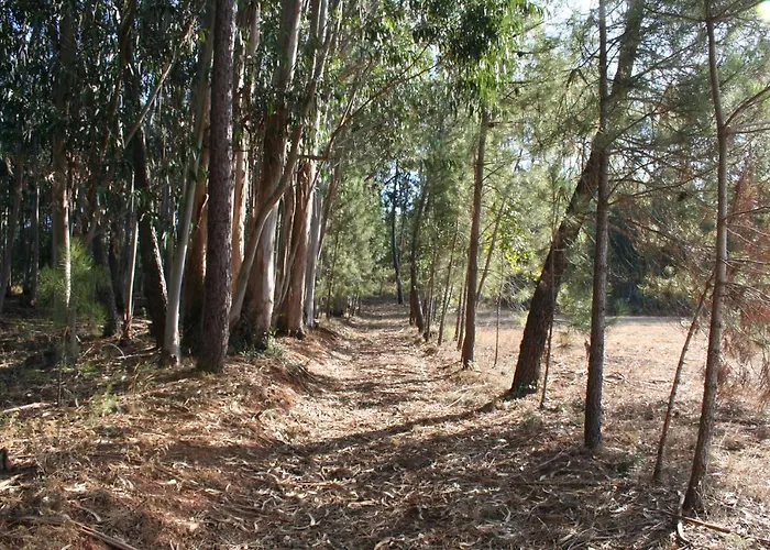 Encosta Da Camarinha